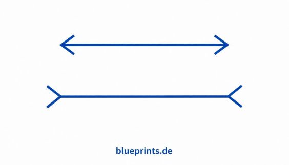 Das Müller-Lyersche Rätsel als Bild