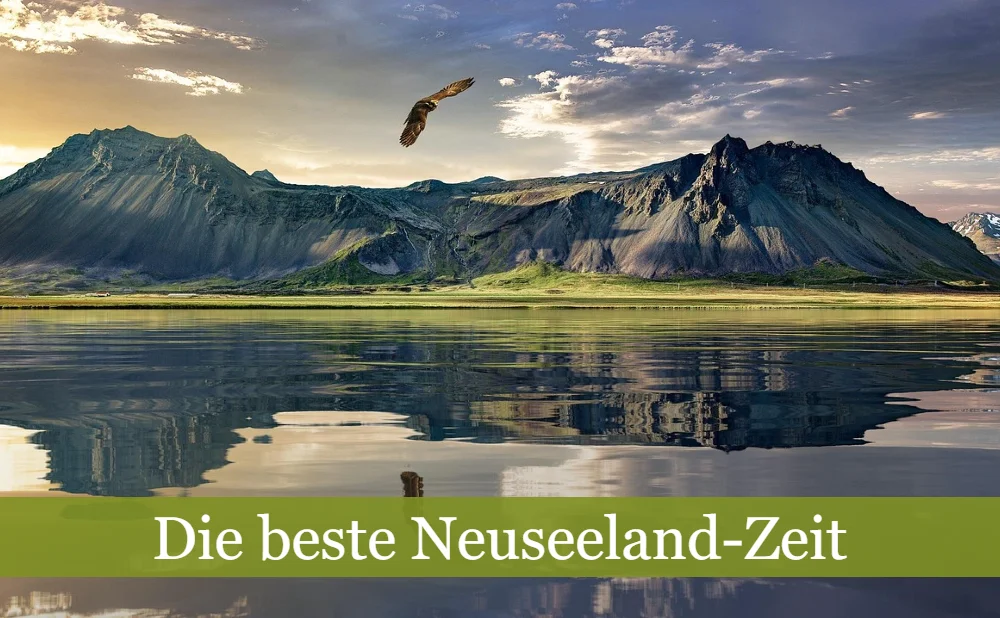 Die beste Neuseeland-Zeit