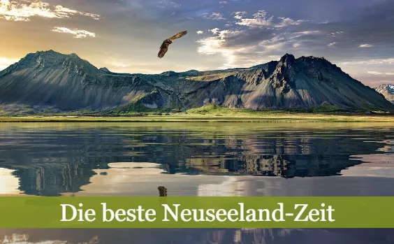Die beste Neuseeland-Zeit