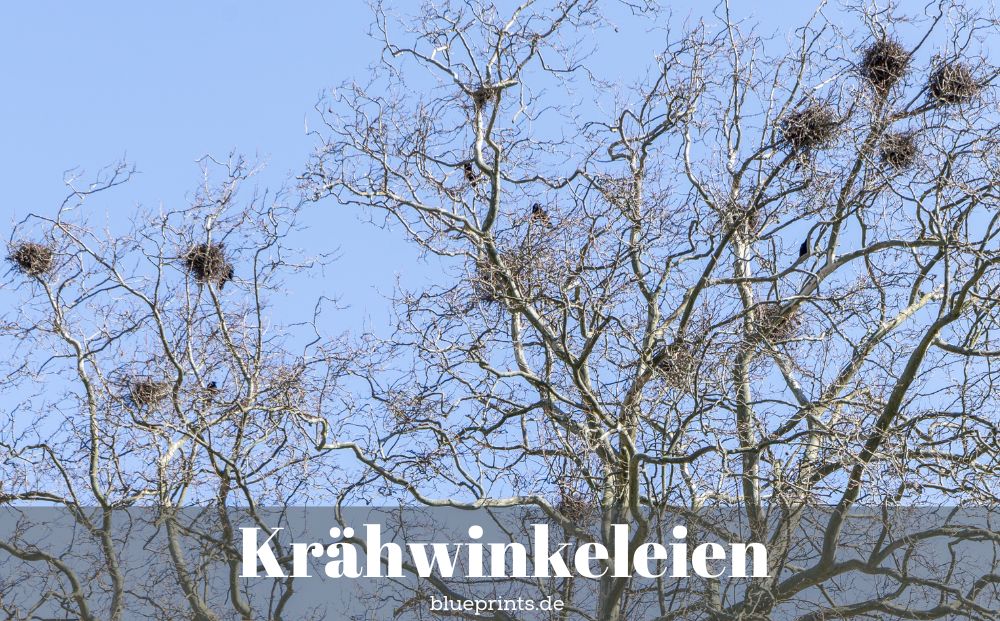 Krähennester