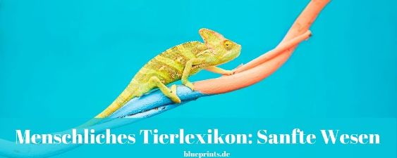 Aufgabe: Das menschliche Tierlexikon - sanfte Wesen