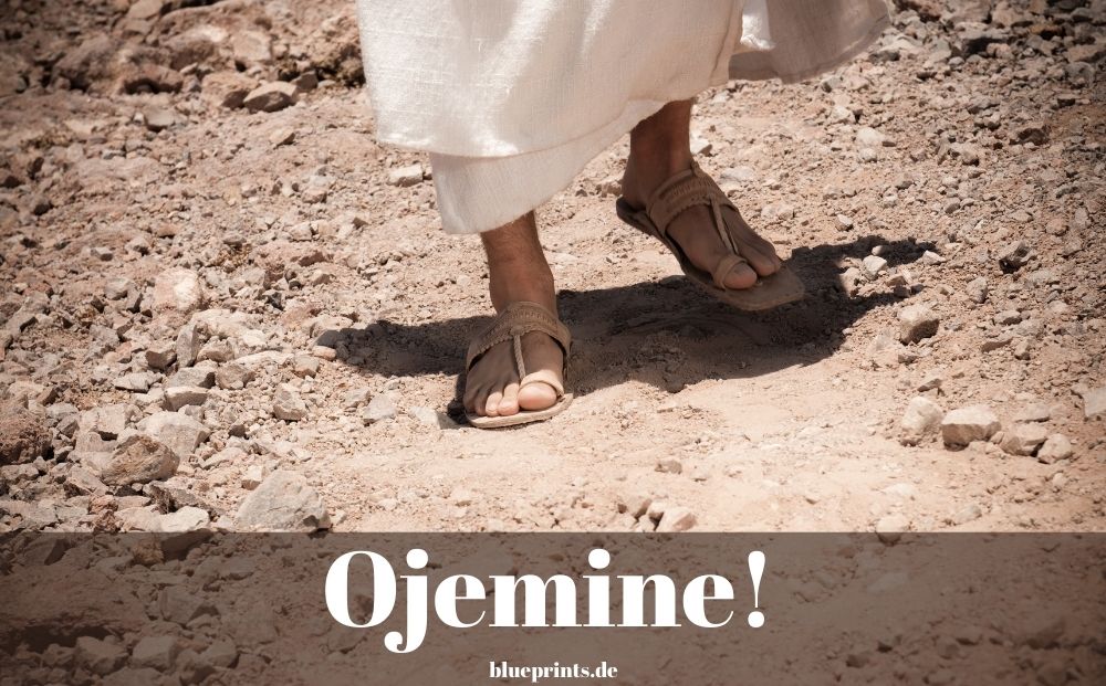 Ojemine! – Bedeutung
