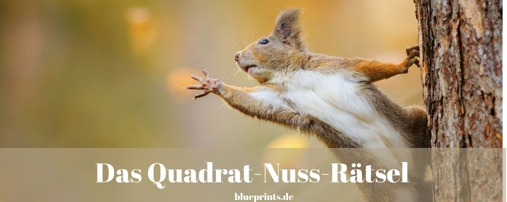 Das Quadrat - Nuss - Rätsel