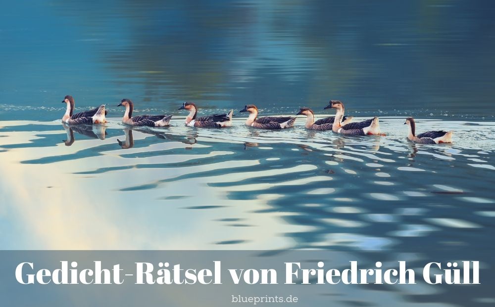 Eine Gänseschar