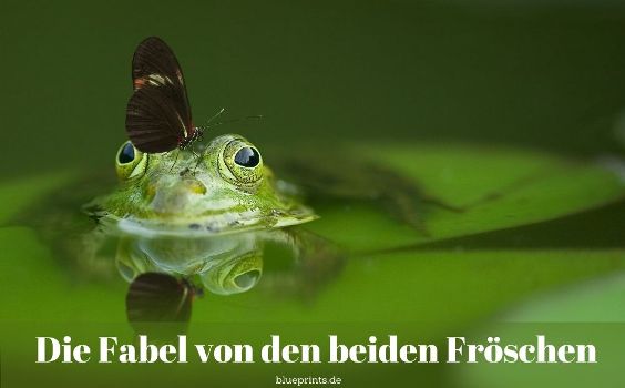 Die Fabel von den beiden Fröschen - Aesop