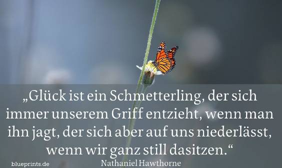 Glück ist wie ein Schmetterling | Spruch