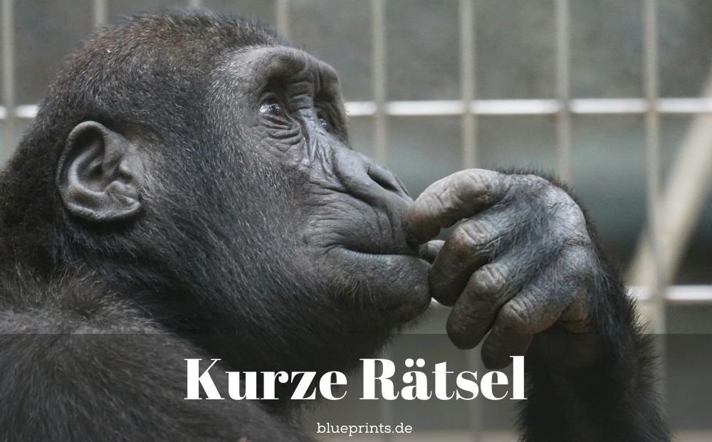 Ein nachdenklicher Schimpanse
