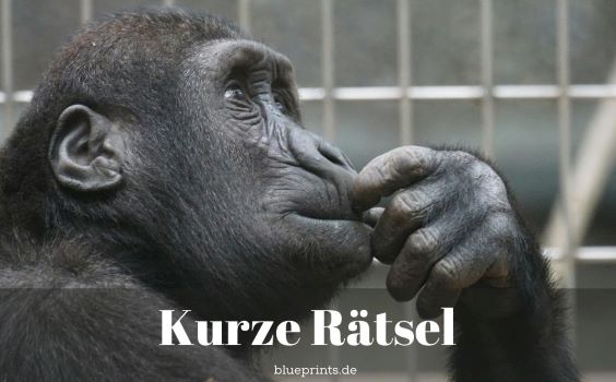 Ein nachdenklicher Schimpanse