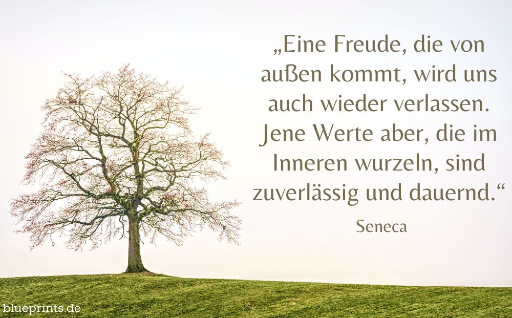 Ein wunderschön gewachsener Baum