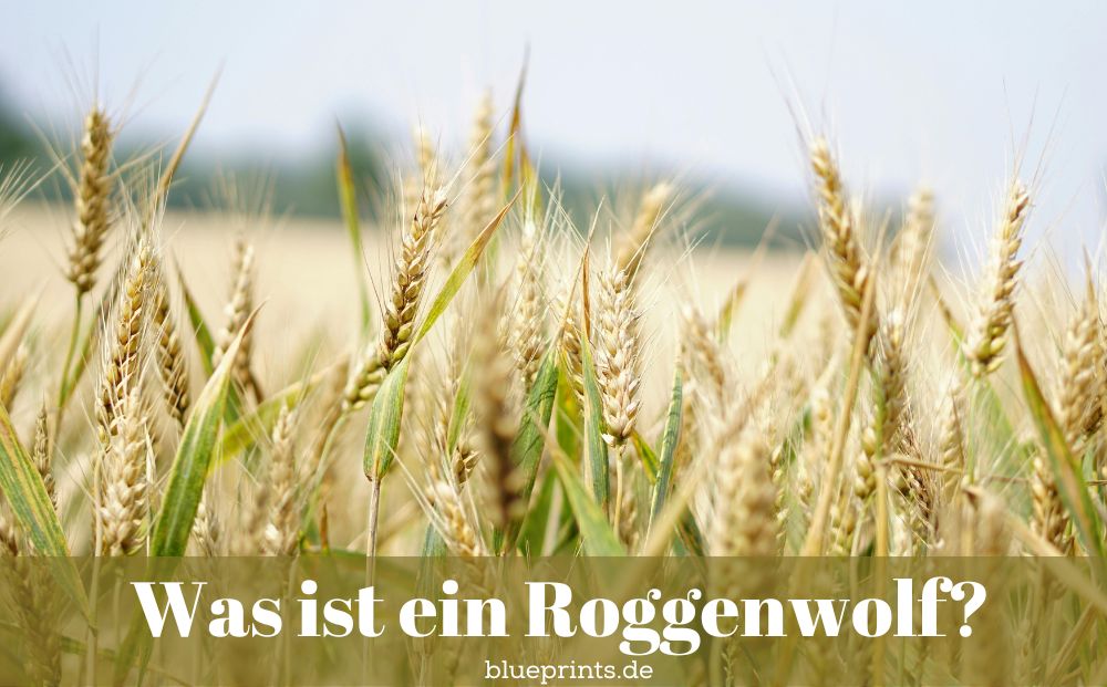Ein Roggenfeld
