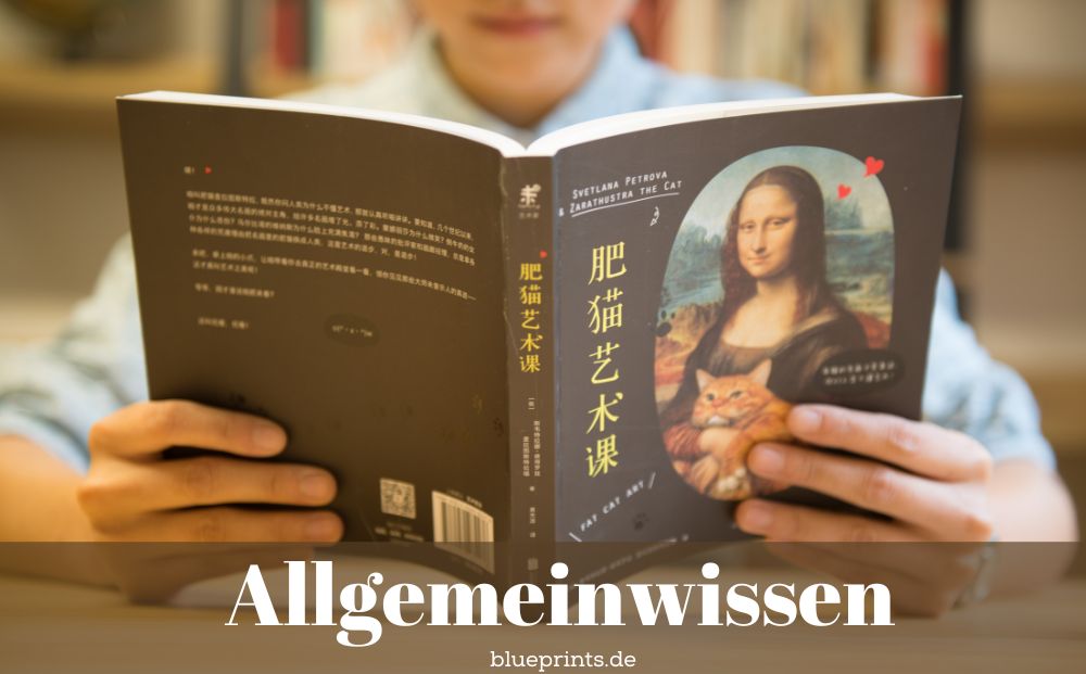 Allgemeinwissen Rätsel