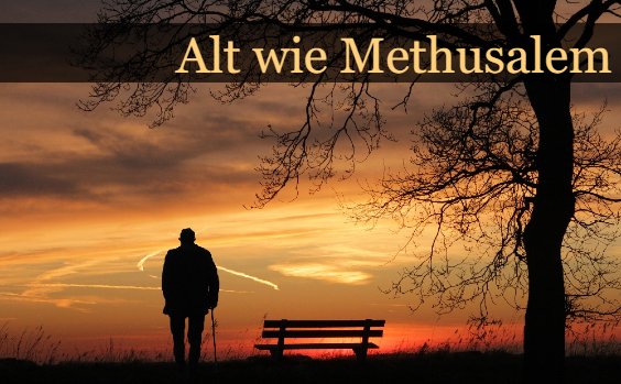 alter Mann vor Sonnenuntergang