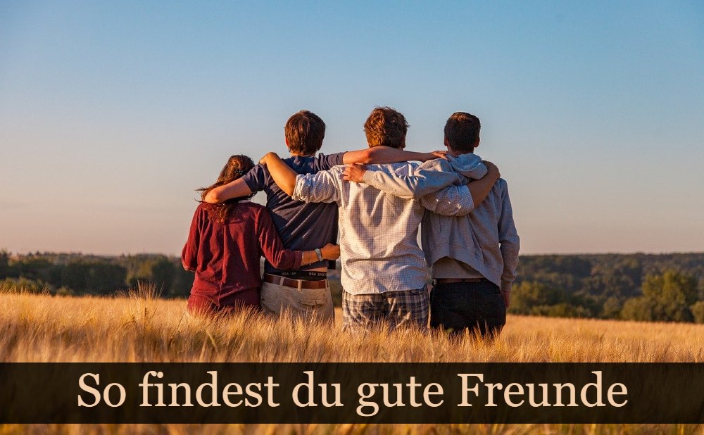 Freunde finden, Weizenfeld