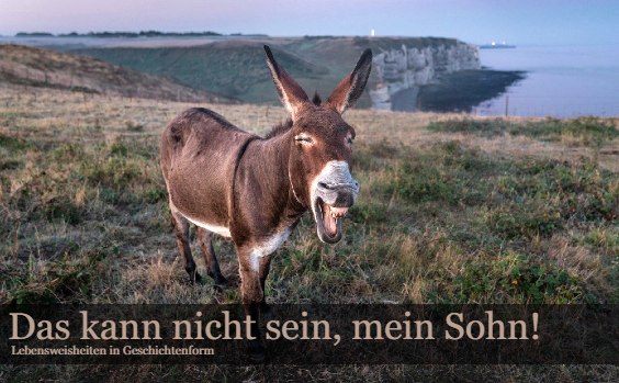 Esel vor Steilküste