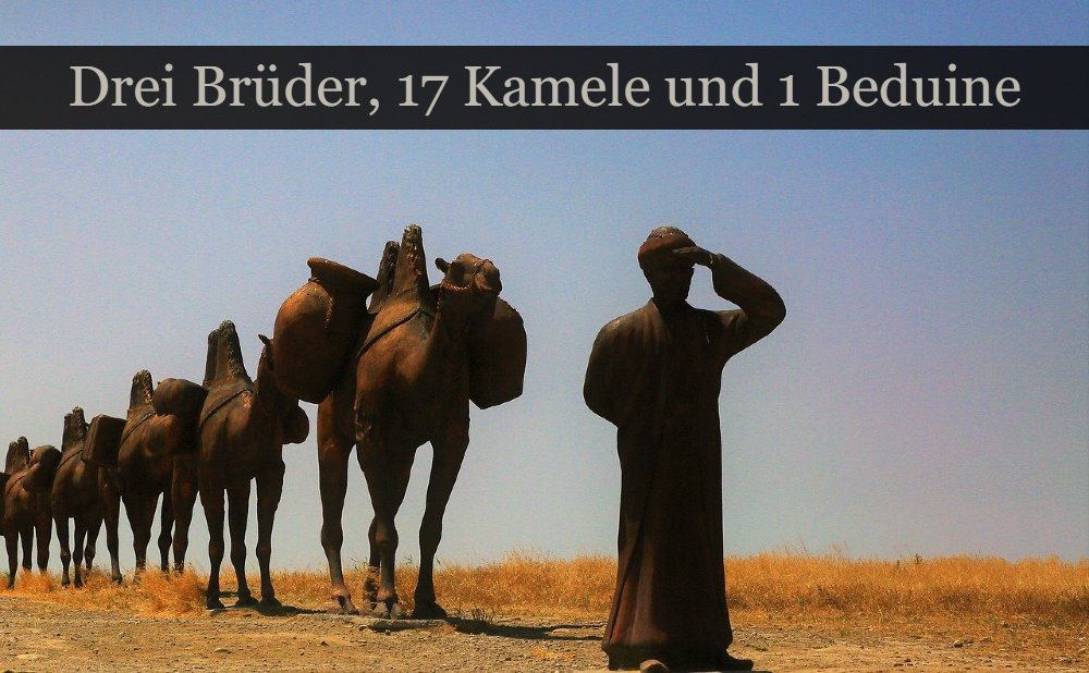 17 Kamele Rätsel