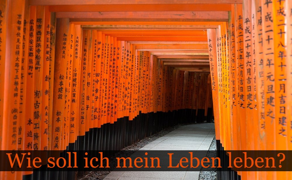 Lebensleitlinien
