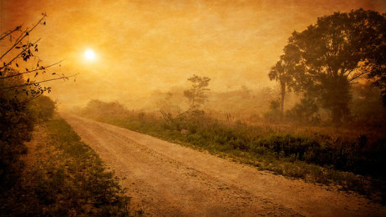 Straße mit Sonne und Feld