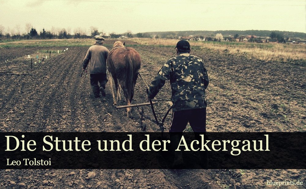 Ackergaul, Bauern