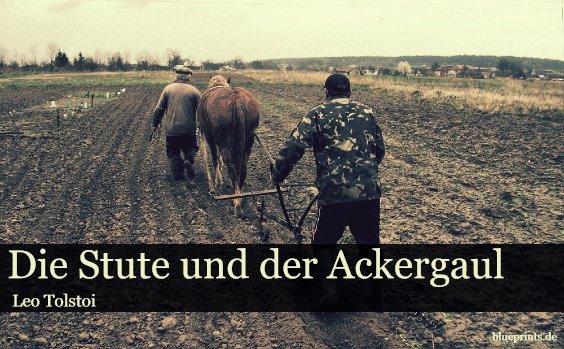 Ackergaul, Bauern