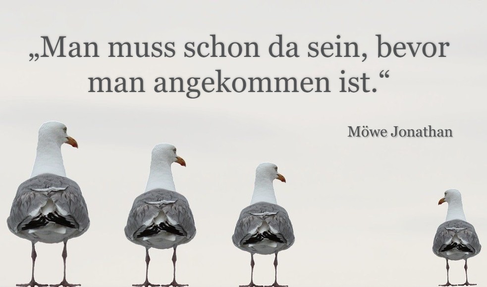Möwen - Zitat Jonathan über die Ankunft