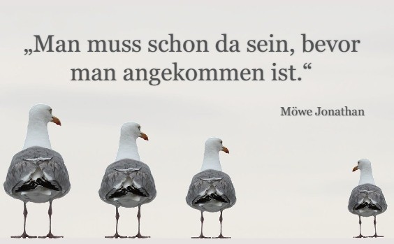 Möwen - Zitat Jonathan über die Ankunft