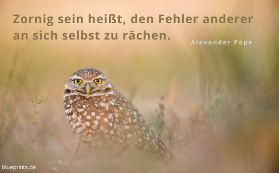 Alexander Pope über Zorn