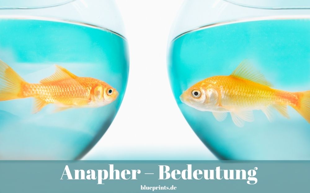 Anapher – Bedeutung