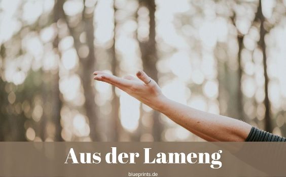Aus der Lameng