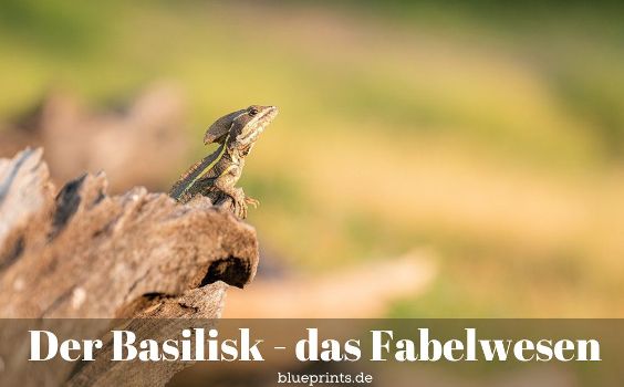 Aufgabe - Wer oder was ist ein Basilisk?