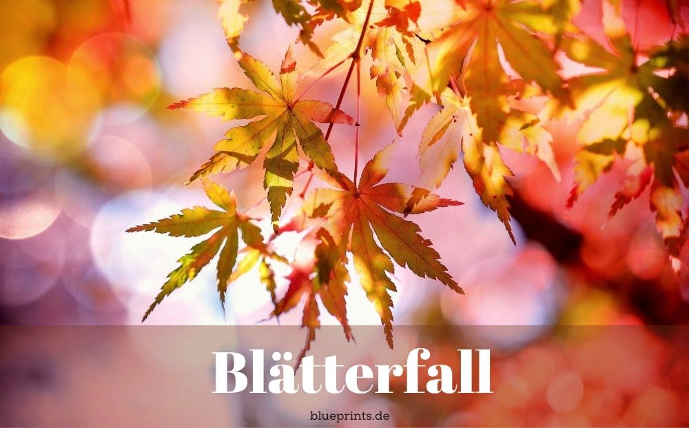 Blätterfall Gedicht