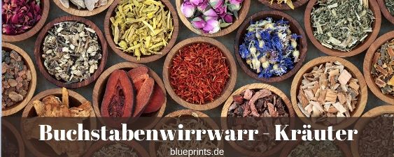 Buchstabenwirrwarr - Kräuter