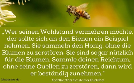 Eine sammelnde Biene