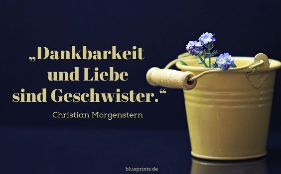 Dankbarkeit pflegen