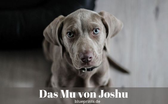 Das Mu von Joshu