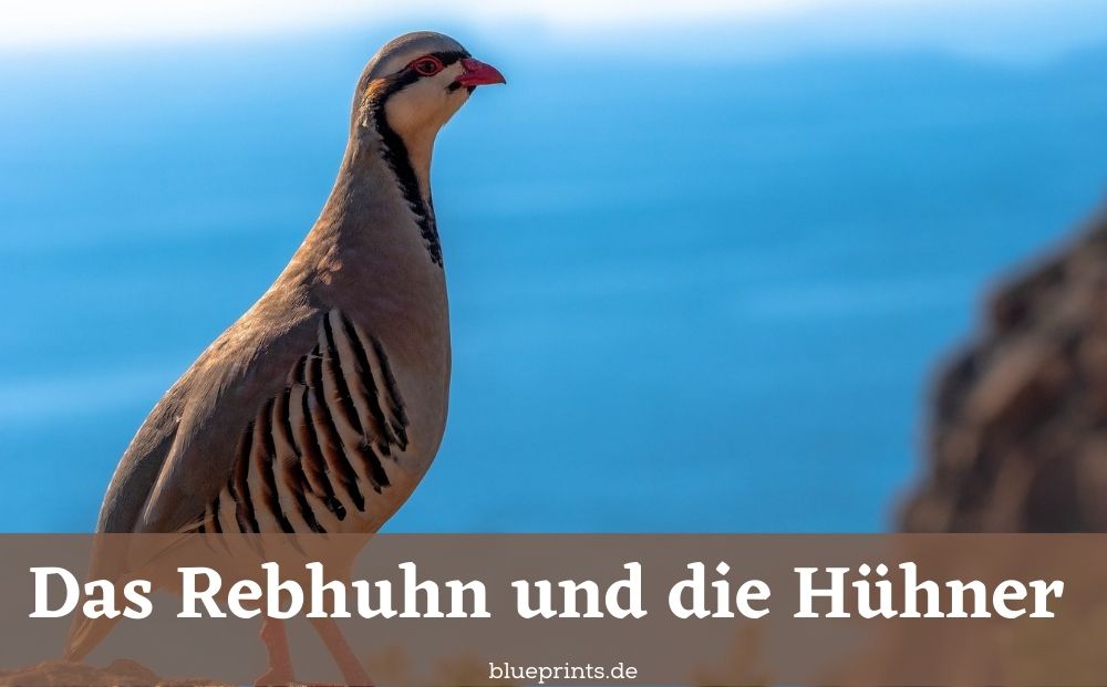 Das Rebhuhn und die Hühner