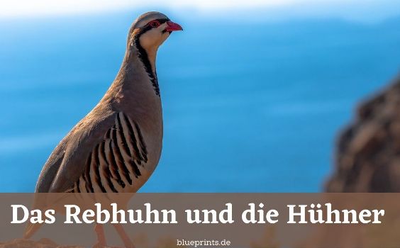 Das Rebhuhn und die Hühner