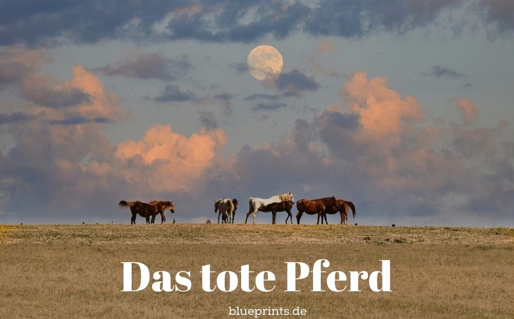 Pferde grasen auf einer Weide.