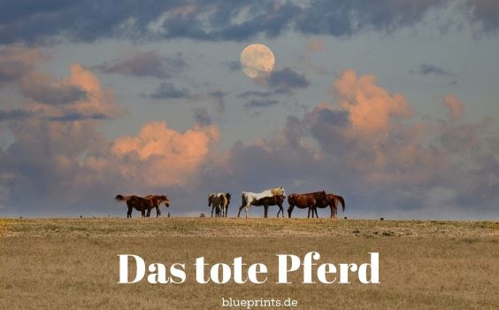 Pferde grasen auf einer Weide.