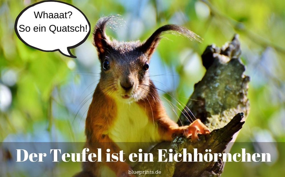 Der Teufel ist ein Eichhörnchen