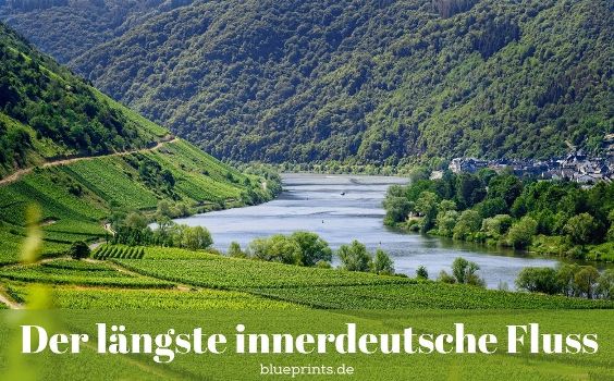 Fluss fließt durch Weinberge
