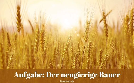 Aufgabe: Der neugierige Bauer