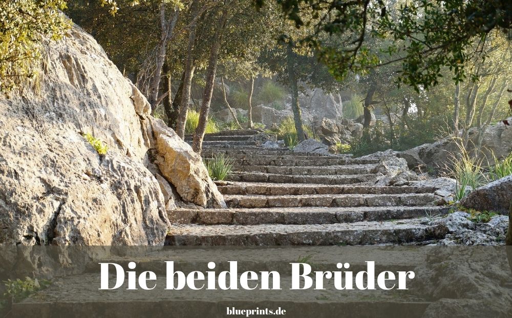 Die beiden Brüder