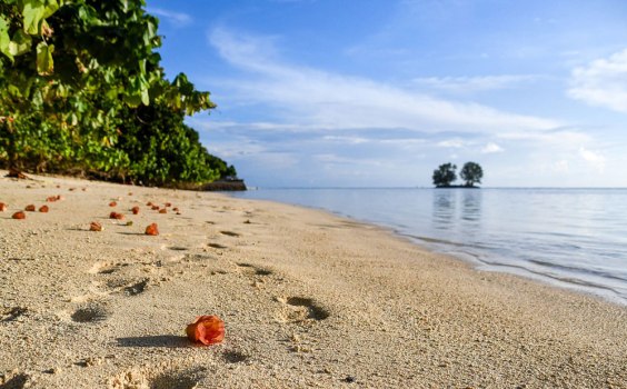 Die Kunst der kleinen Schritte