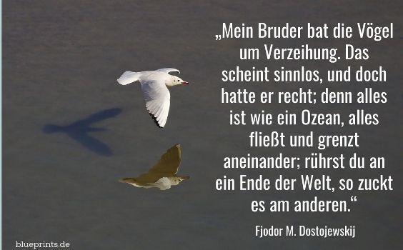 Dostojewski über die Welt