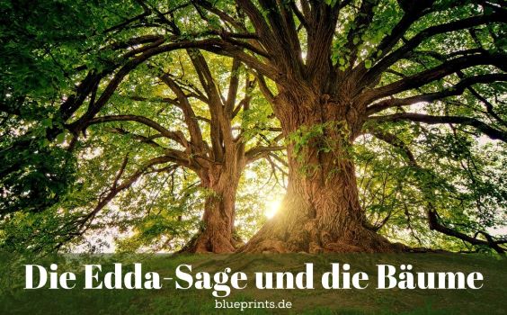 Zwei mystische Bäume