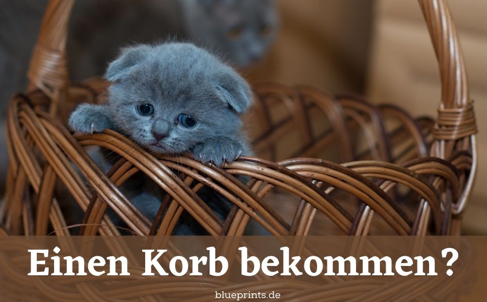 Einen Korb geben