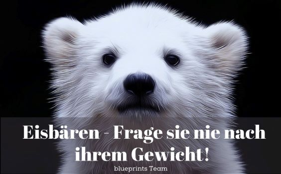 Eisbärjunges