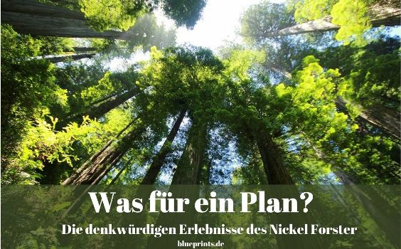Was für ein Plan?