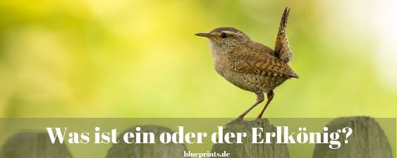 Erlkönig Bedeutung