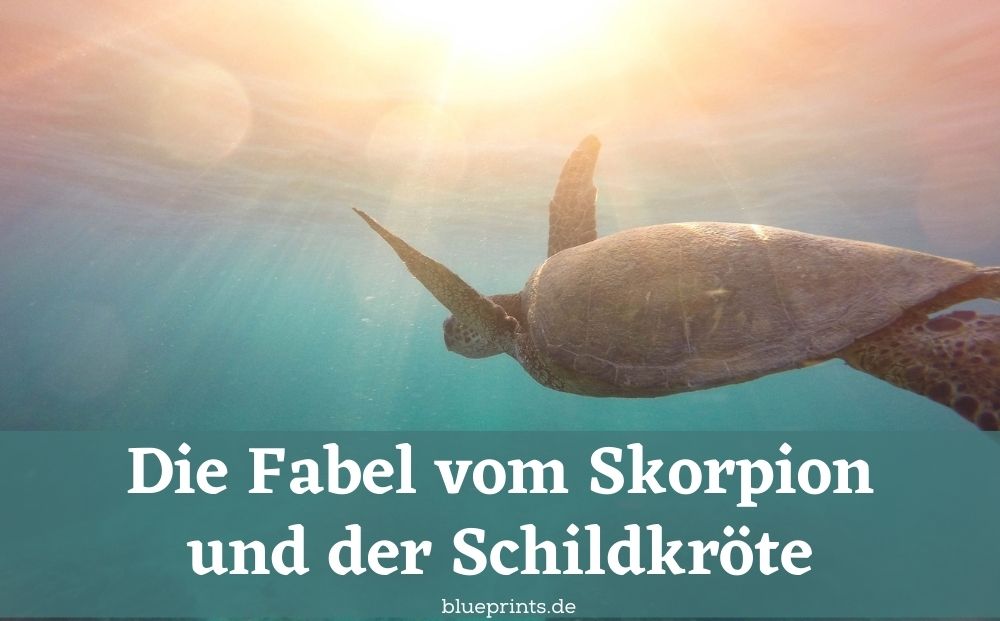 Fabel Skorpion und Schildkröte